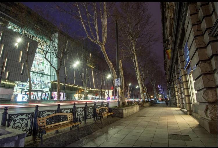 Rustaveli Apartment City Centre Tiflis Dış mekan fotoğraf